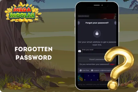 Forgotten Password in Mega Moolah