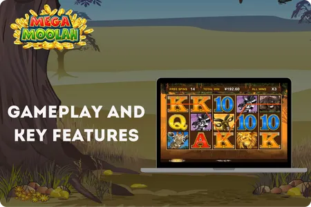 Mega Moolah Gameplay and Key Features