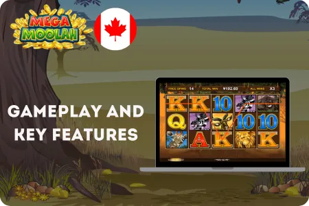Mega Moolah Gameplay