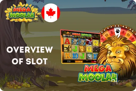 Mega Moolah Overview